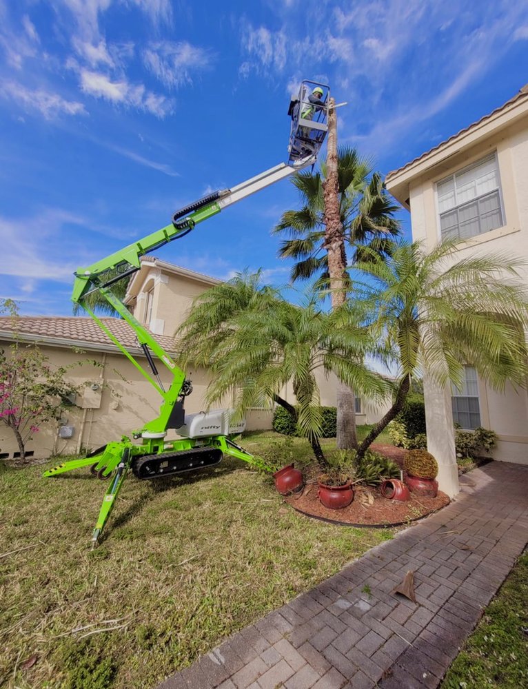 Bucket lift removing the top of a tall palm tree beside a house