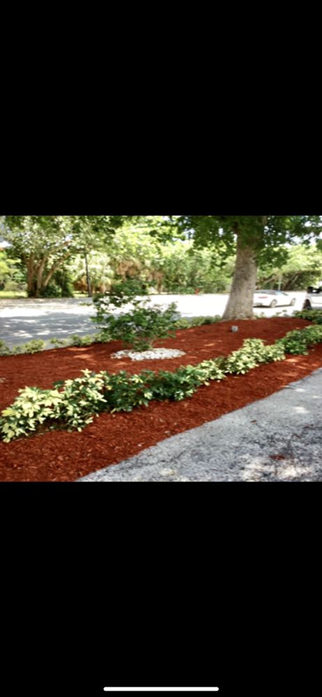Fresh mulch along a driveway landscape bed